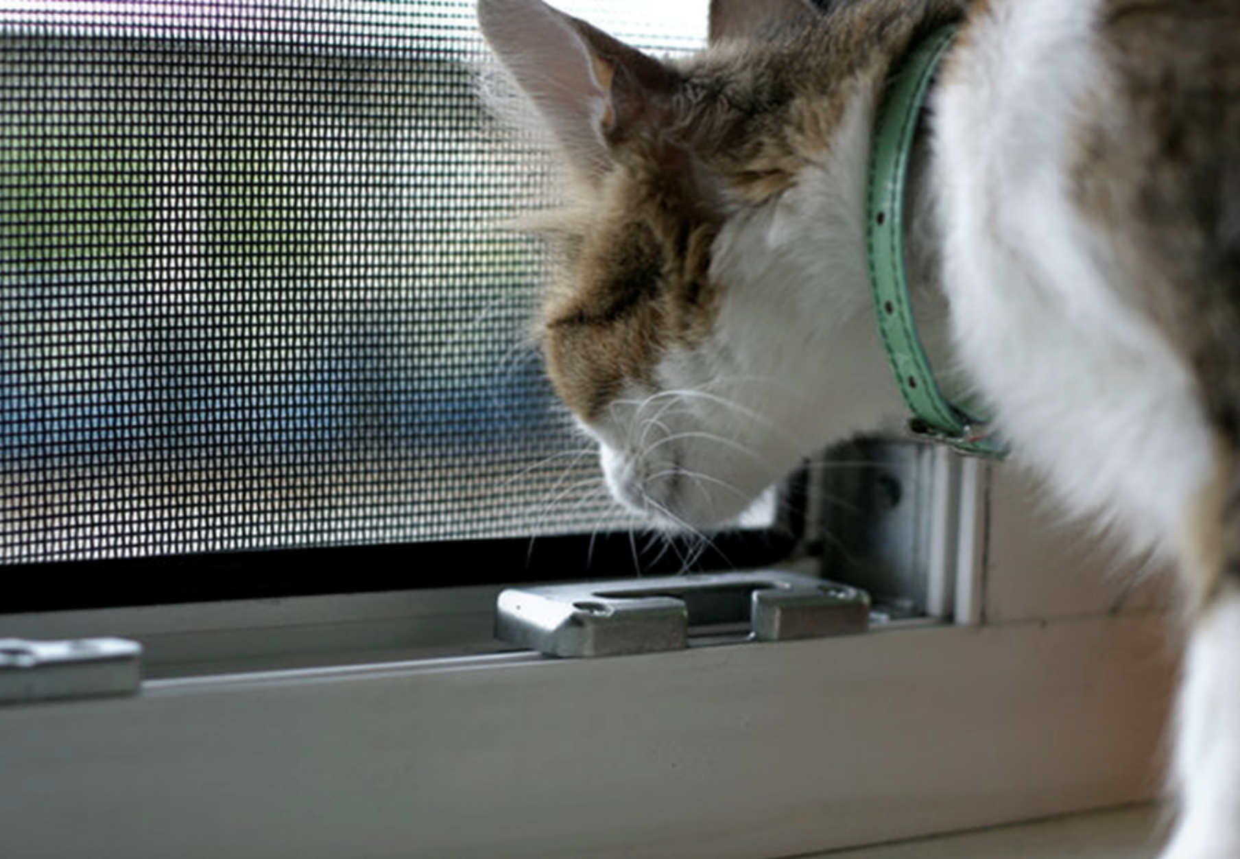 Сетка на окно для кошек антикошка купить. Сетка антикошка. Москитные сетки антикошка. Оконная сетка антикошка. Pet Screen антикошка.